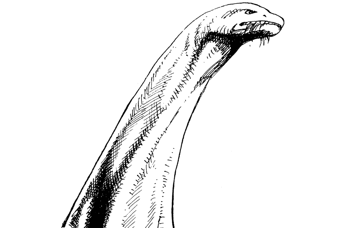 Brontosaurus