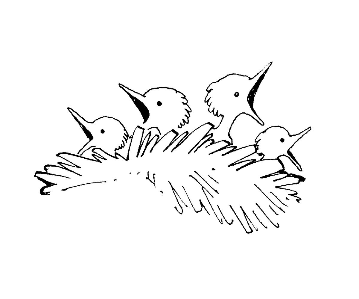 Snow Bird