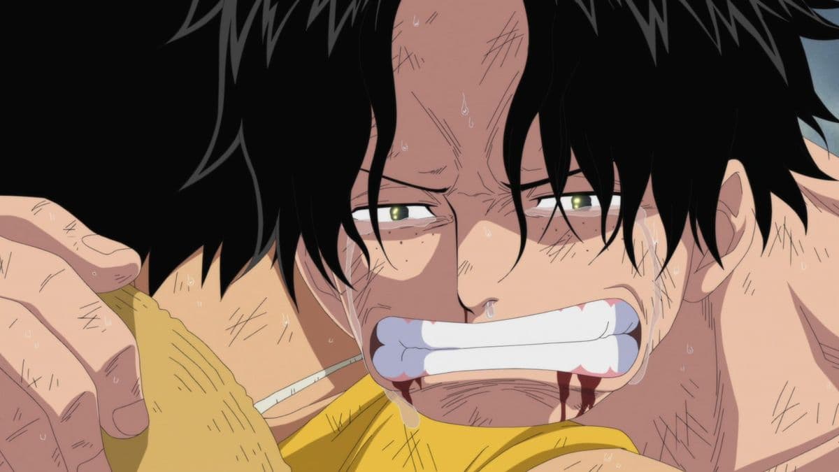 Ace y Luffy